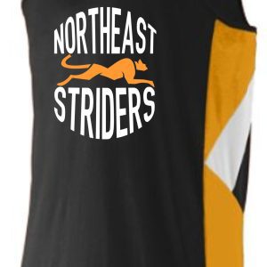 NE Striders Boys Jersey Augusta 333 with the logo "northeast striders" printed across the front.