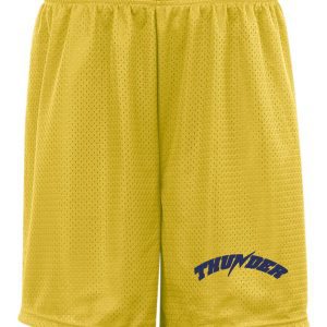 Yellow mesh Thunder Baseball Badger 9 inch tricot mesh shorts with the word "thunder" in blue on the right leg.