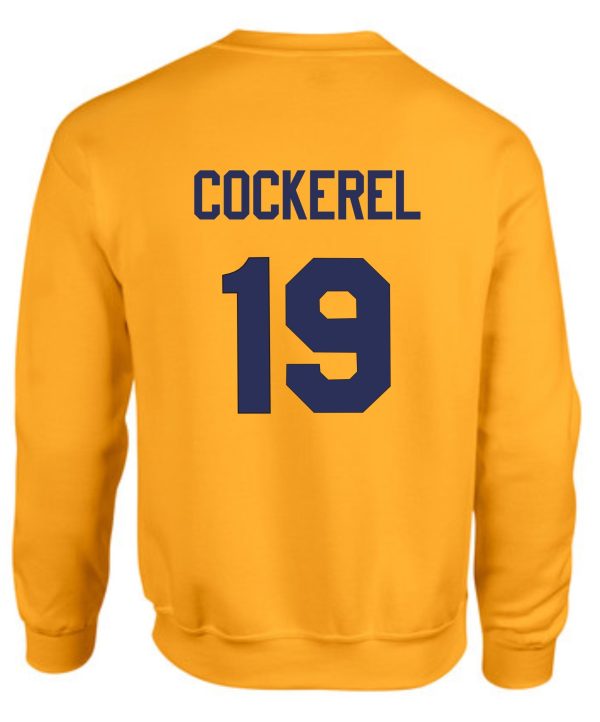 Thunder Baseball Moisture wicking Augusta long sleeve T shirt with "cockerel" and the number "19" printed in blue on the back.