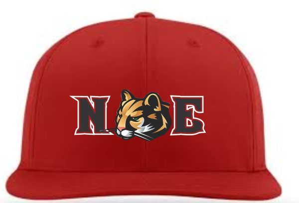 Red hat with "NE" and a cougar mascot.