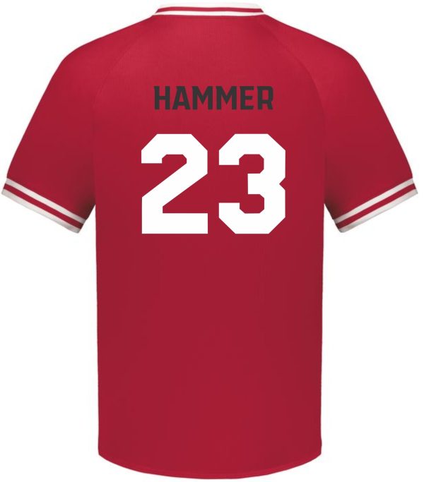 Meyzeek Baseball Holloway 221220 V Neck Red sports jersey with white trim featuring the number 23 and the name "hammer" across the back.