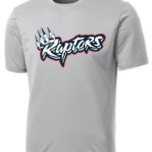 Gray T-shirt with Raptors logo.