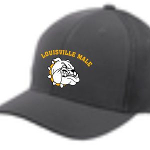 Gray baseball cap with Louisville Male logo.