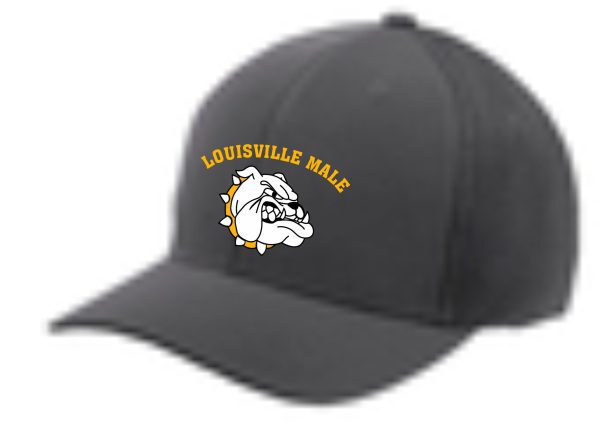 Gray baseball cap with Louisville Male logo.