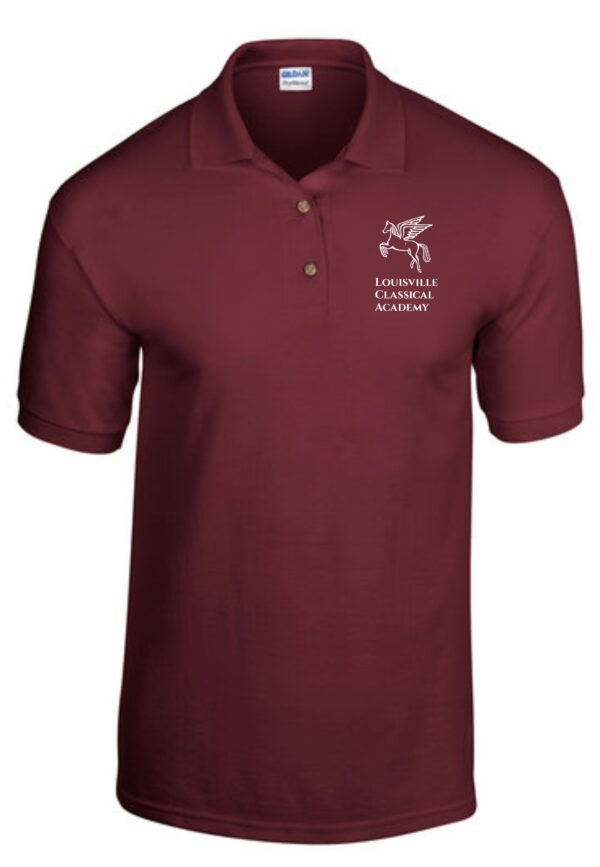 Burgundy polo shirt with school logo.