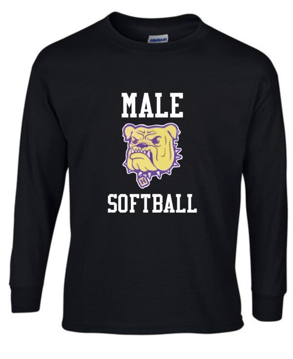 Black long sleeve shirt with male softball logo.